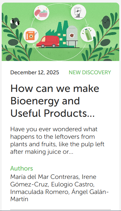 How can we make Bioenergy and Useful Products from Olive Waste?