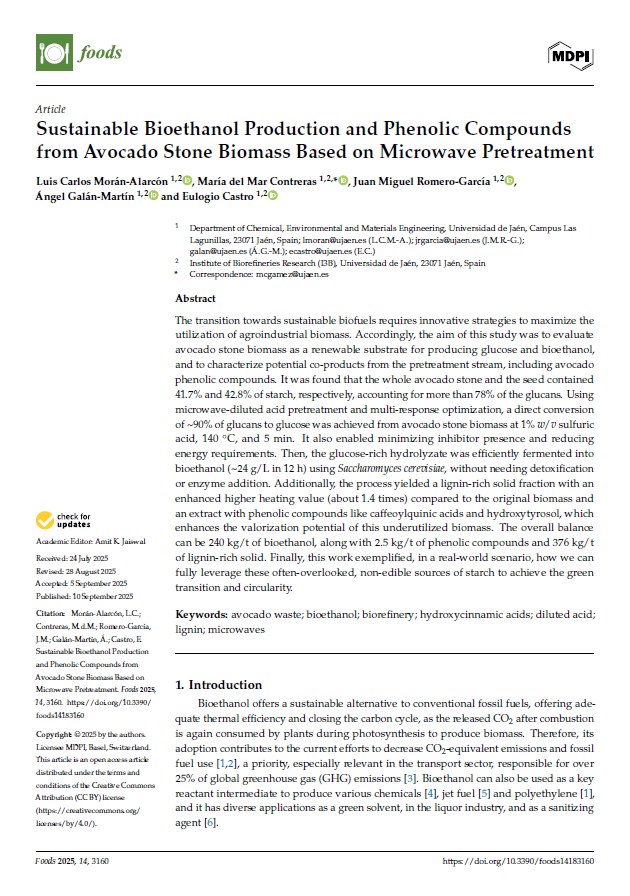 Sustainable Bioethanol Production and Phenolic Compounds from Avocado Stone Biomass Based on Microwave Pretreatment